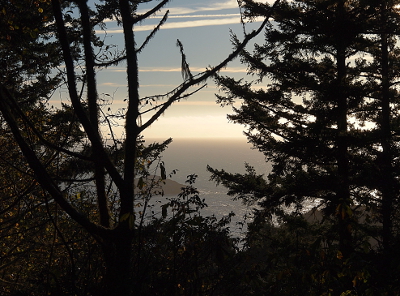 [The hazy water's edge (and a rock in the water) are visible through an opening in the evergreen trees. The trees appear nearly black due to the bright light of the sun.]